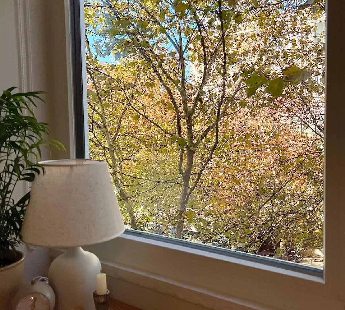 Cozy Studio Near Tirana Center Apartment